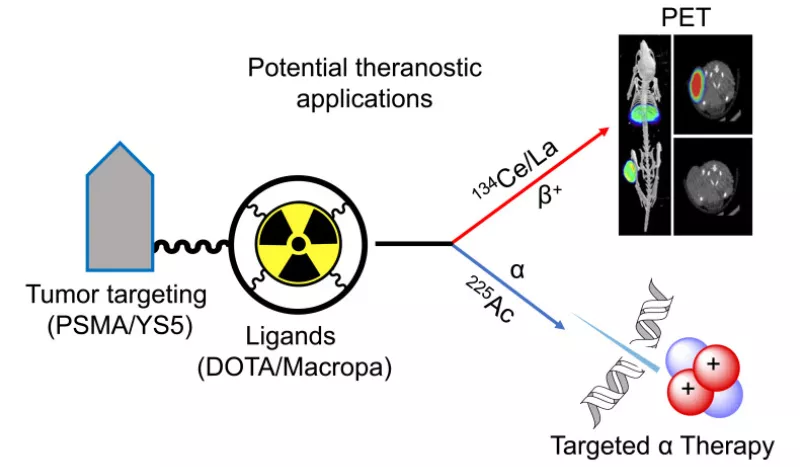 research diagram