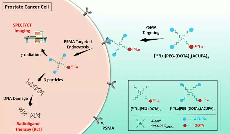 Research digram